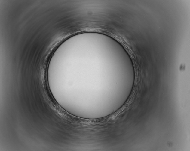 X0000101700098200807101355