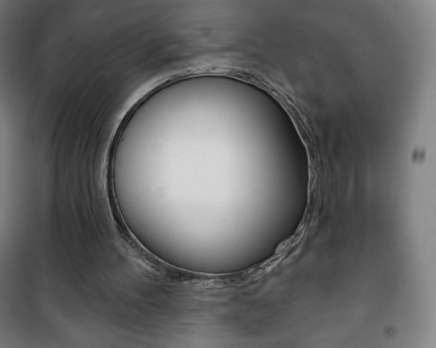 X0000101700100200807101355