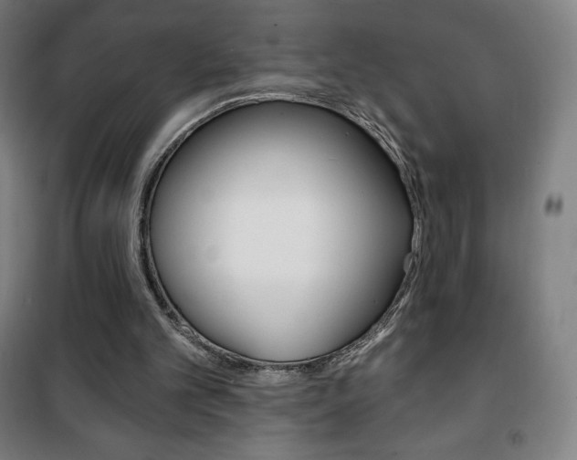 X0000101700101200807101355