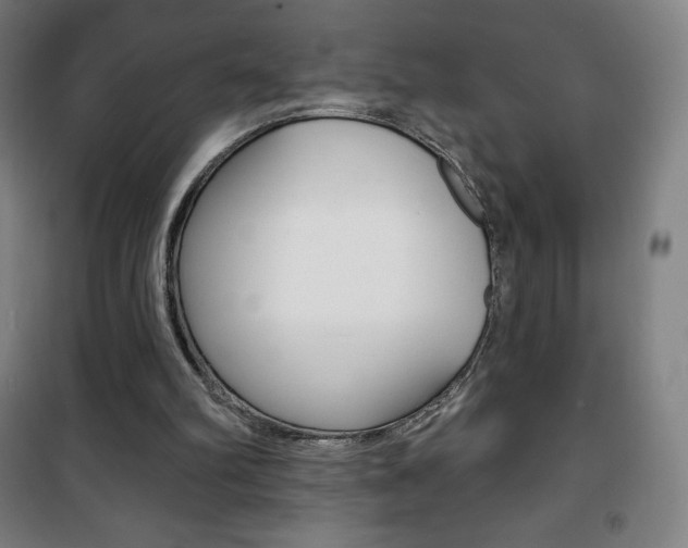 X0000101700102200807101355
