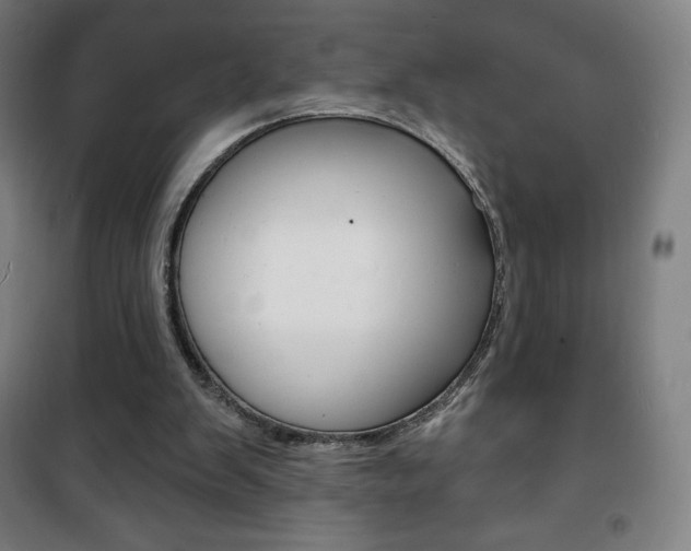 X0000101700103200807101355