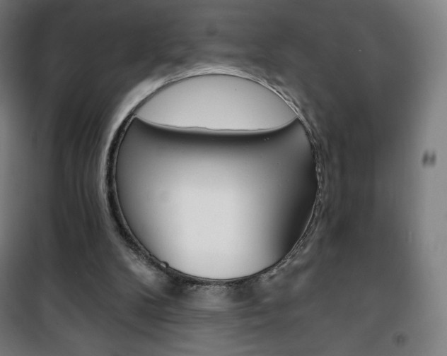 X0000101700104200807101355
