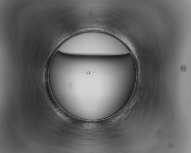 X0000101700105200807101355