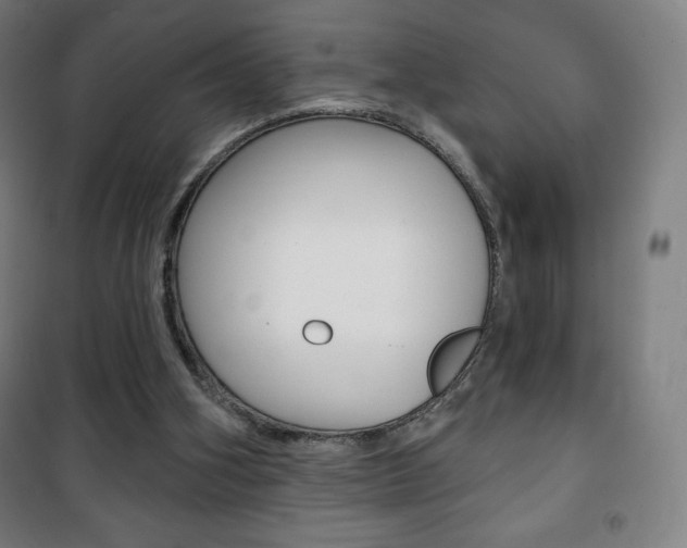 X0000101700106200807101355