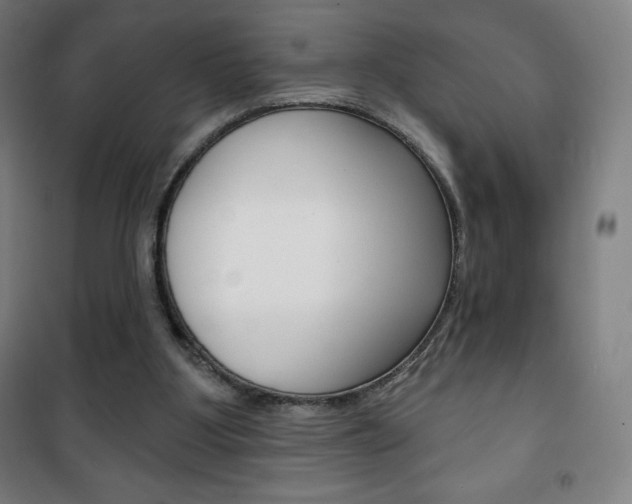 X0000101700107200807101355