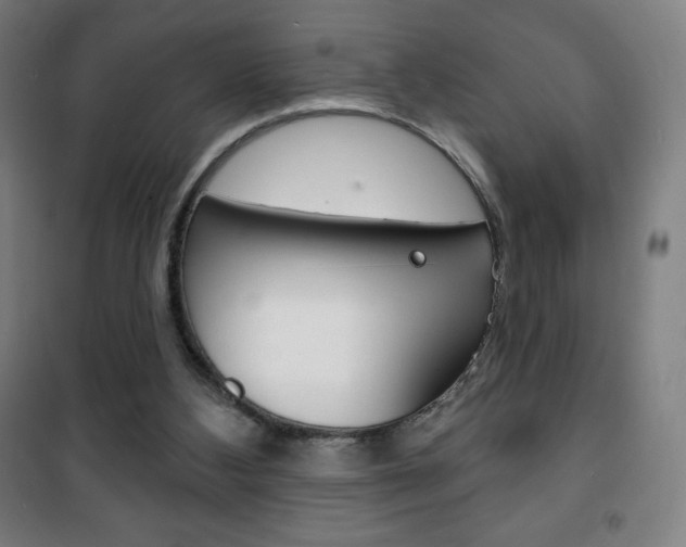 X0000101700108200807101355