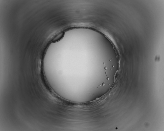 X0000101700109200807101355