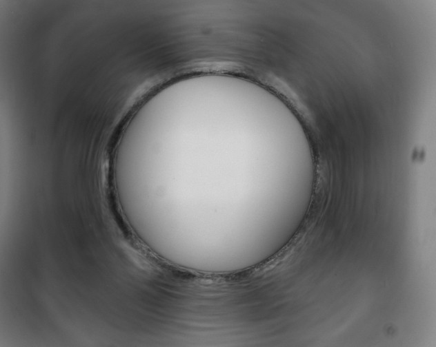 X0000101700110200807101355