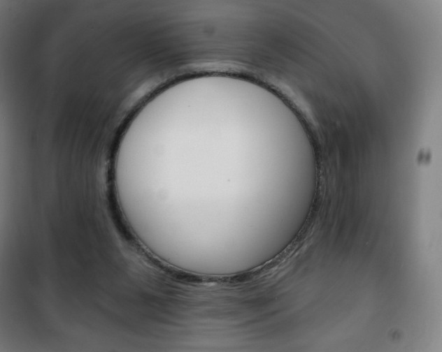 X0000101700111200807101355