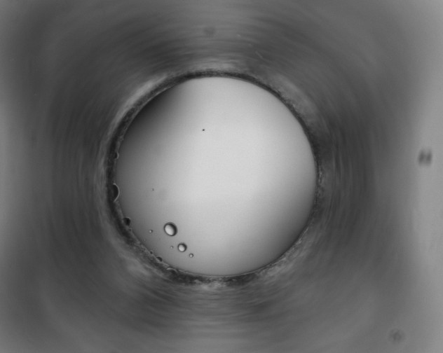 X0000101700112200807101354