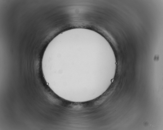 X0000101700113200807101354