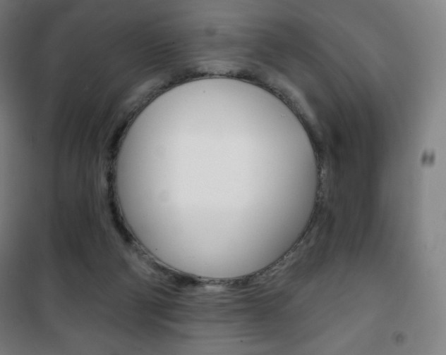X0000101700114200807101354