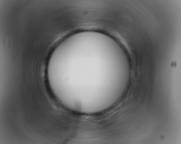 X0000101700115200807101354