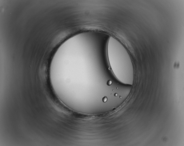 X0000101700116200807101354