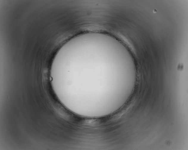X0000101700117200807101354