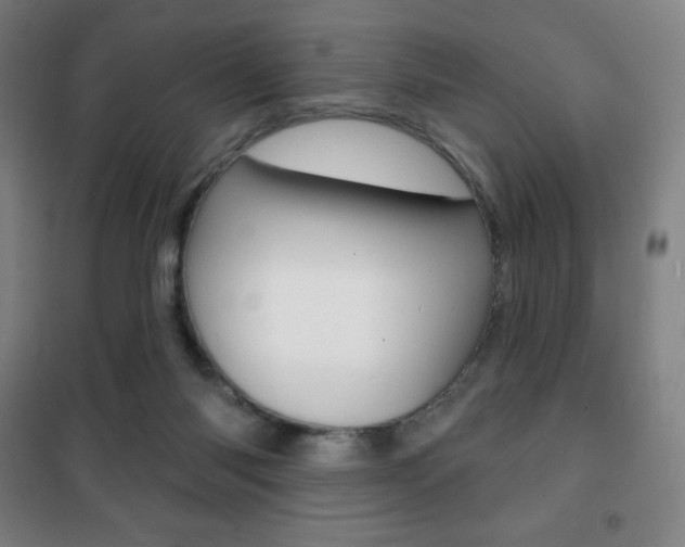 X0000101700118200807101354