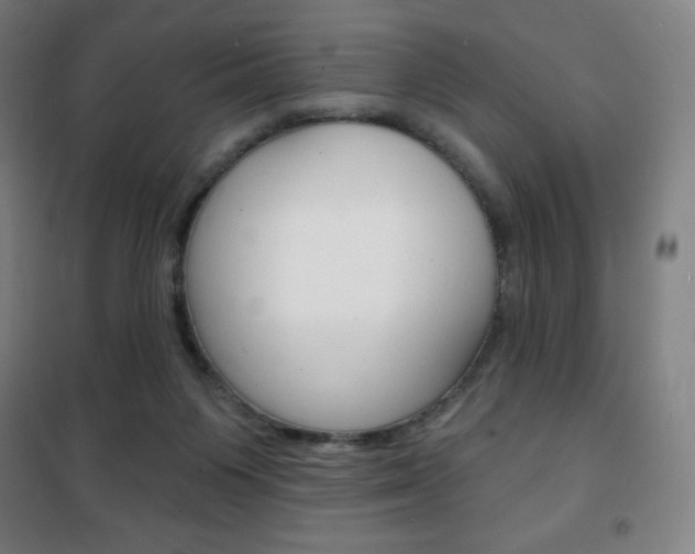 X0000101700119200807101354