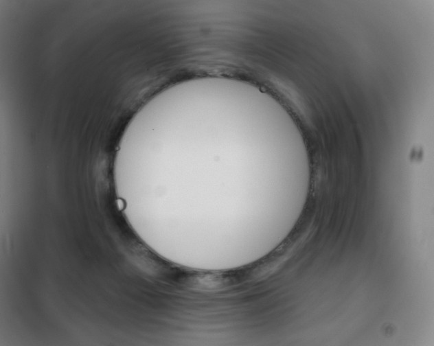 X0000101700121200807101354