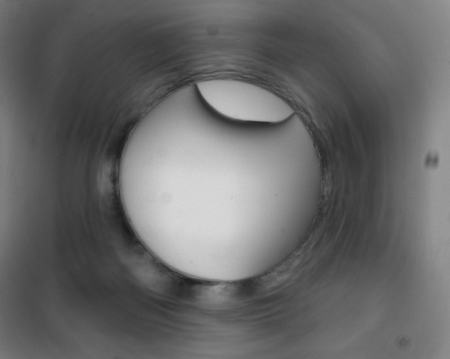 X0000101700122200807101354