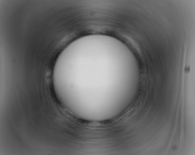 X0000101700123200807101354