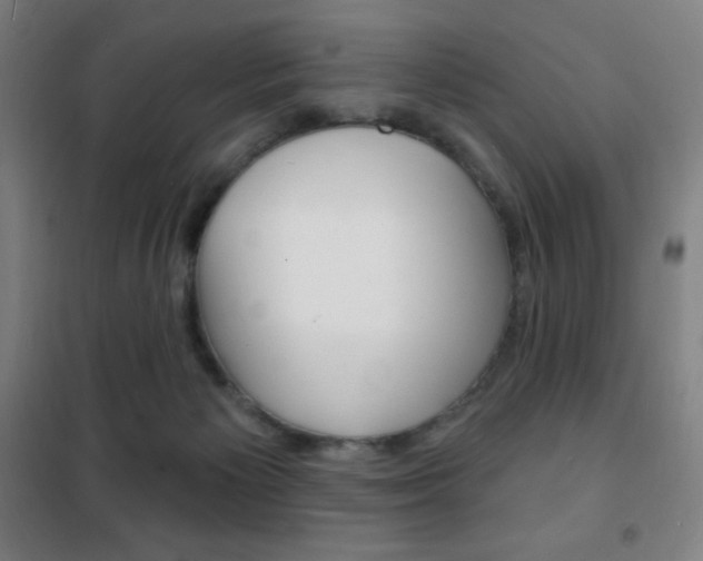 X0000101700125200807101354
