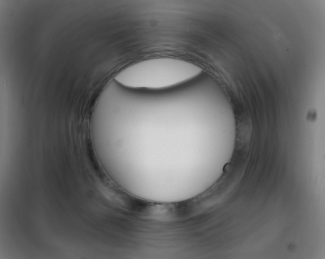 X0000101700126200807101354
