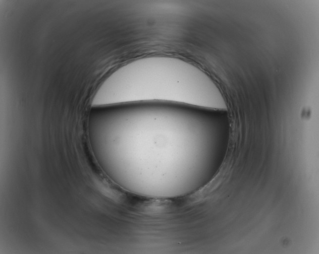 X0000101700128200807101354