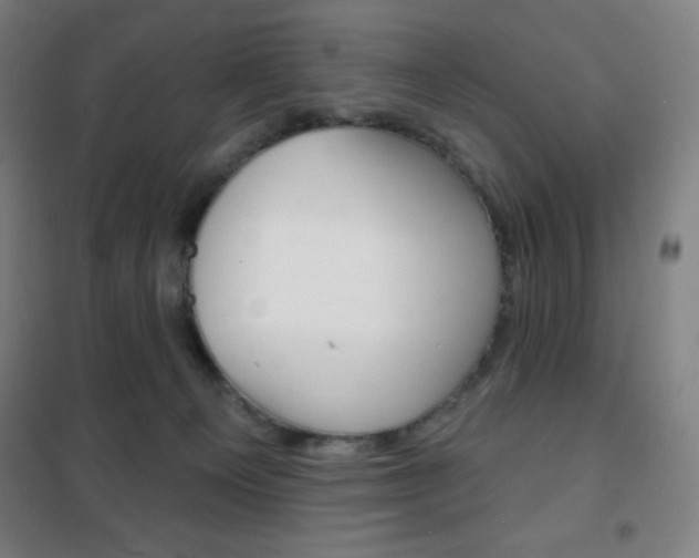 X0000101700129200807101354