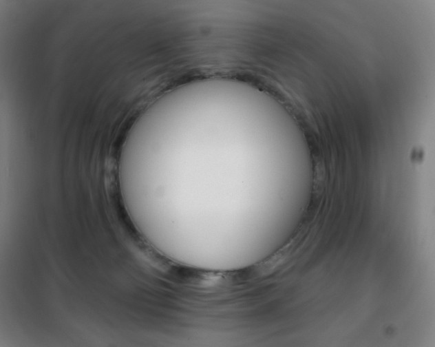 X0000101700130200807101354