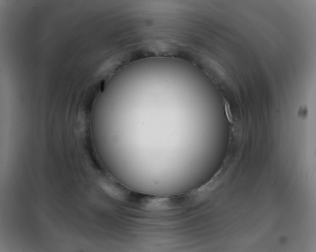 X0000101700132200807101354