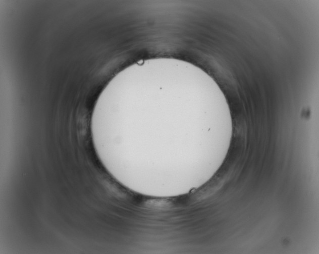 X0000101700133200807101354