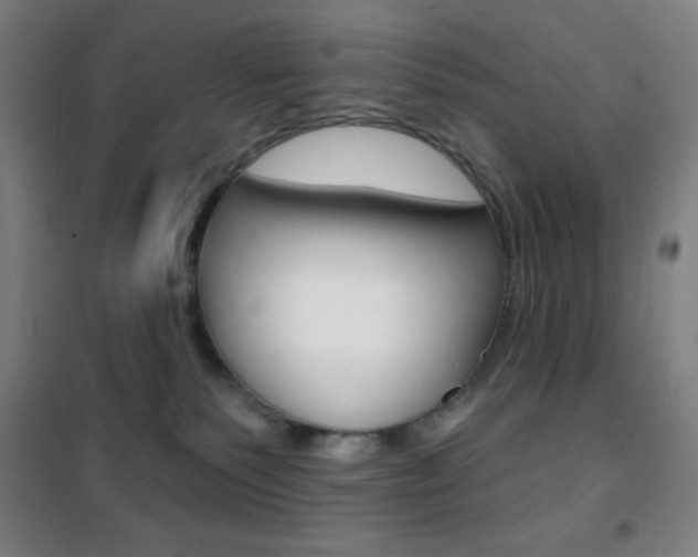 X0000101700135200807101354