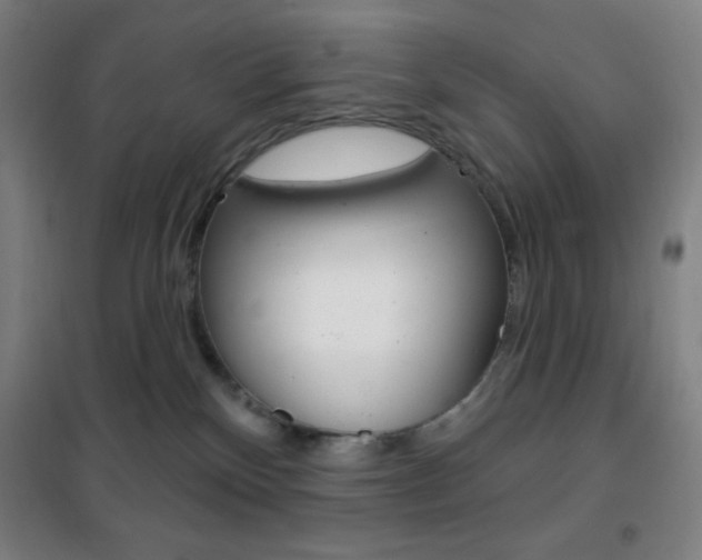 X0000101700136200807101354