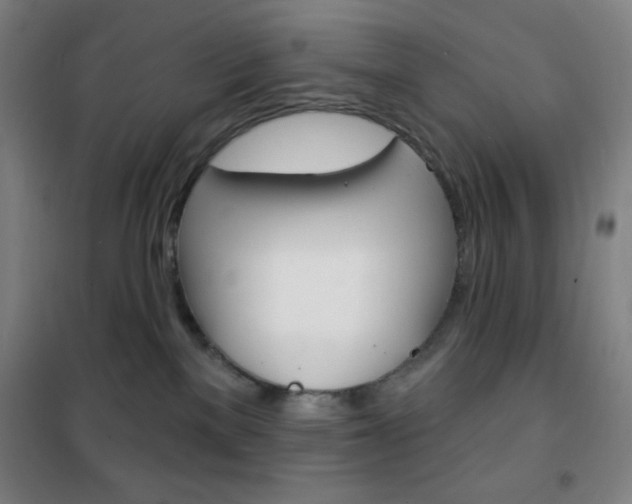 X0000101700137200807101354