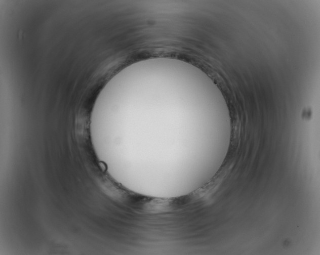 X0000101700138200807101354