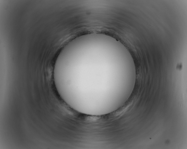 X0000101700139200807101354