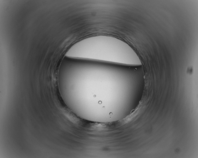 X0000101700140200807101354