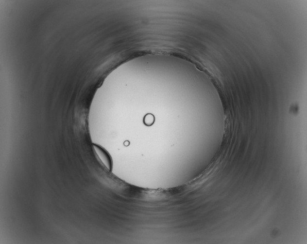 X0000101700141200807101354
