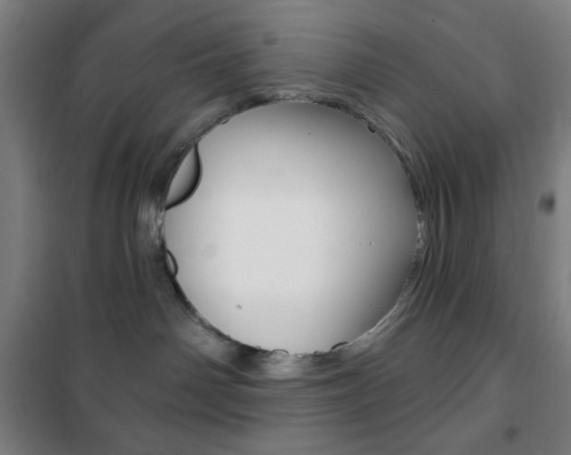 X0000101700142200807101354