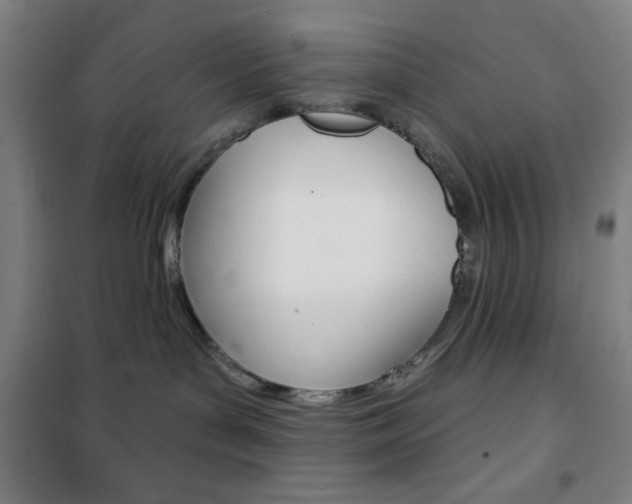 X0000101700143200807101354