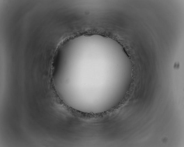 X0000101700144200807101354