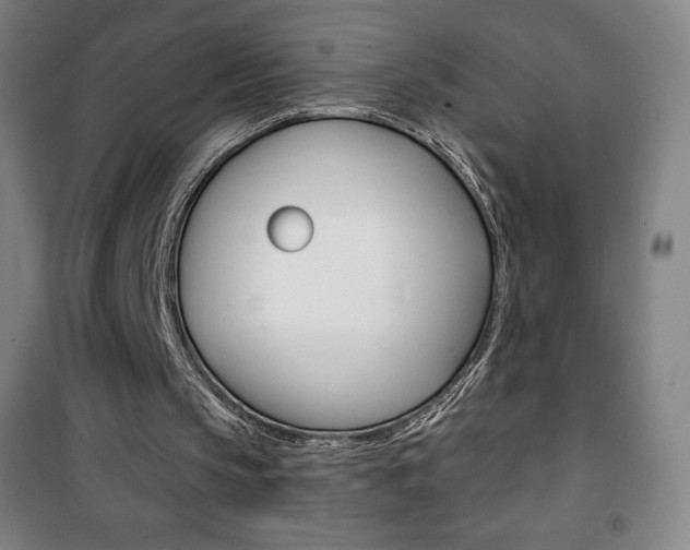 X0000101700145200807101353