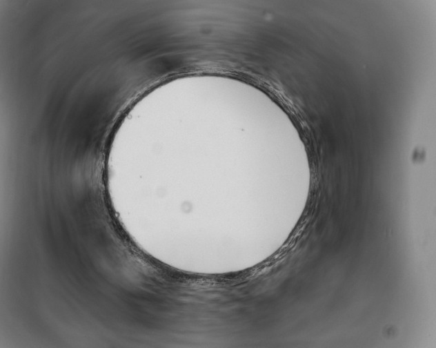 X0000101700146200807101353