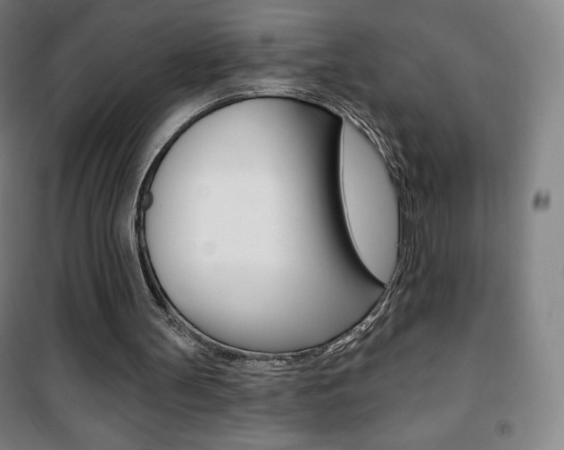X0000101700147200807101353