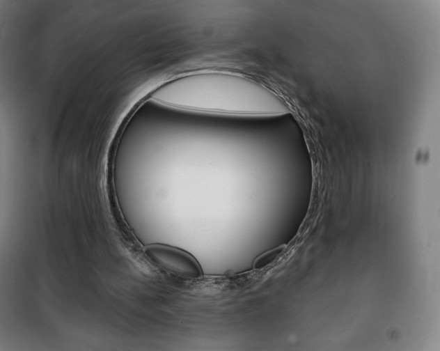 X0000101700148200807101353