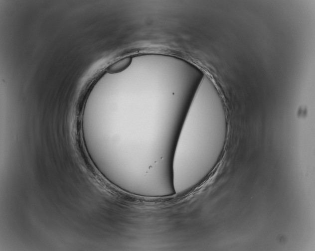 X0000101700149200807101353