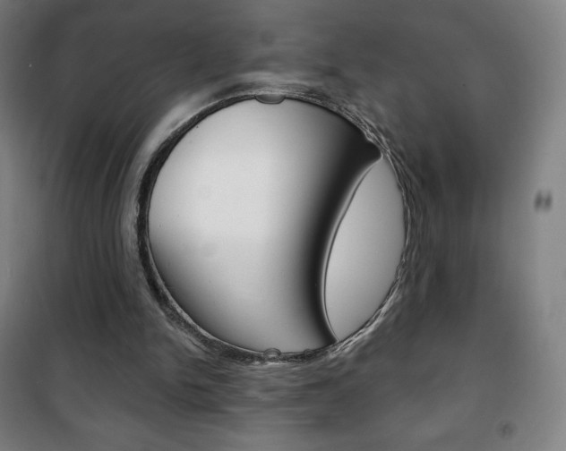 X0000101700150200807101353