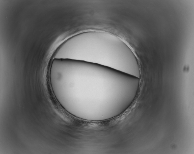 X0000101700151200807101353