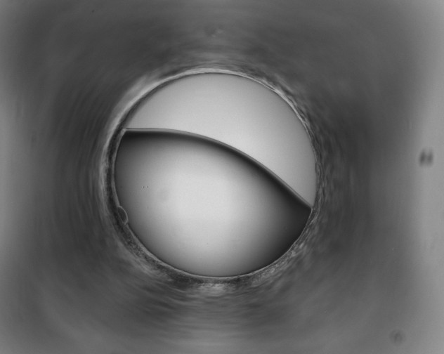 X0000101700152200807101353