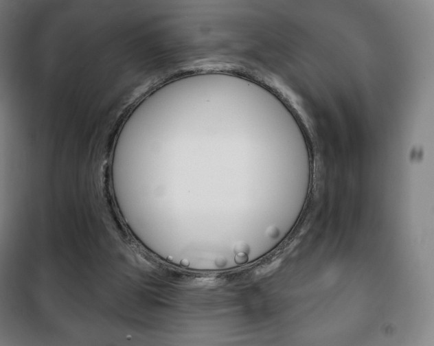 X0000101700153200807101353